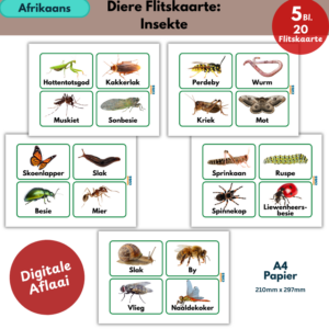 Afrikaans Insects Flashcards