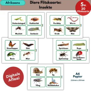 afrikaans insects flashcards