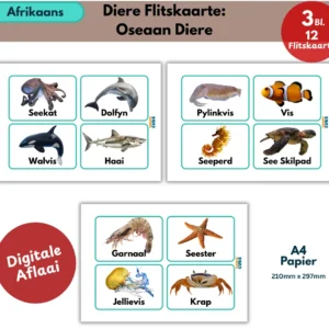afrikaans ocean animals flashcards