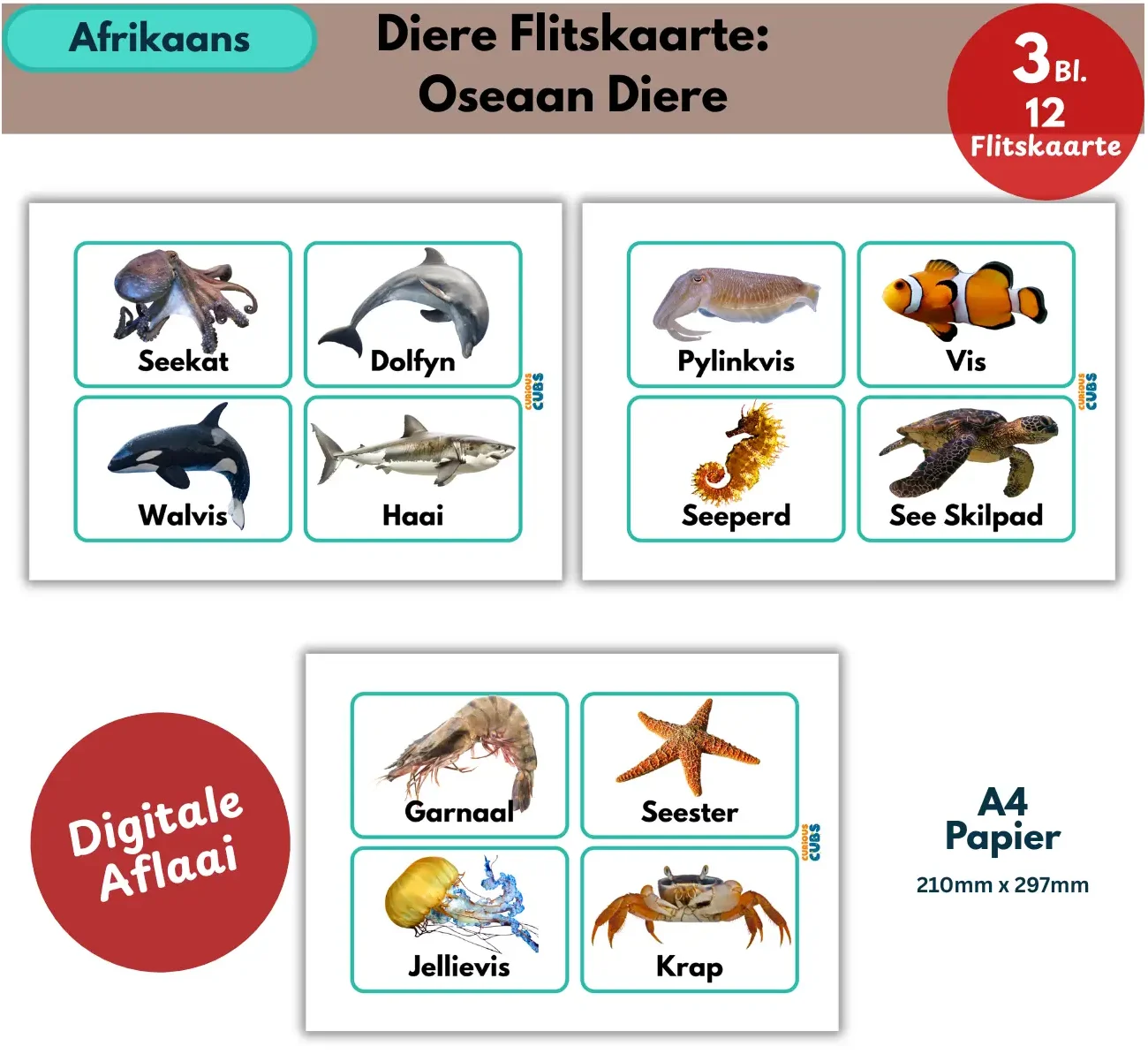 afrikaans ocean animals flashcards