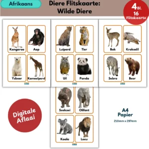 afrikaans wild animals flashcards