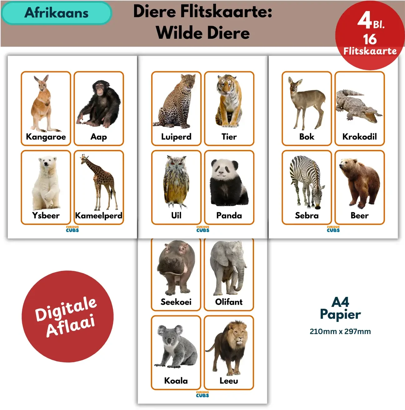 afrikaans wild animals flashcards