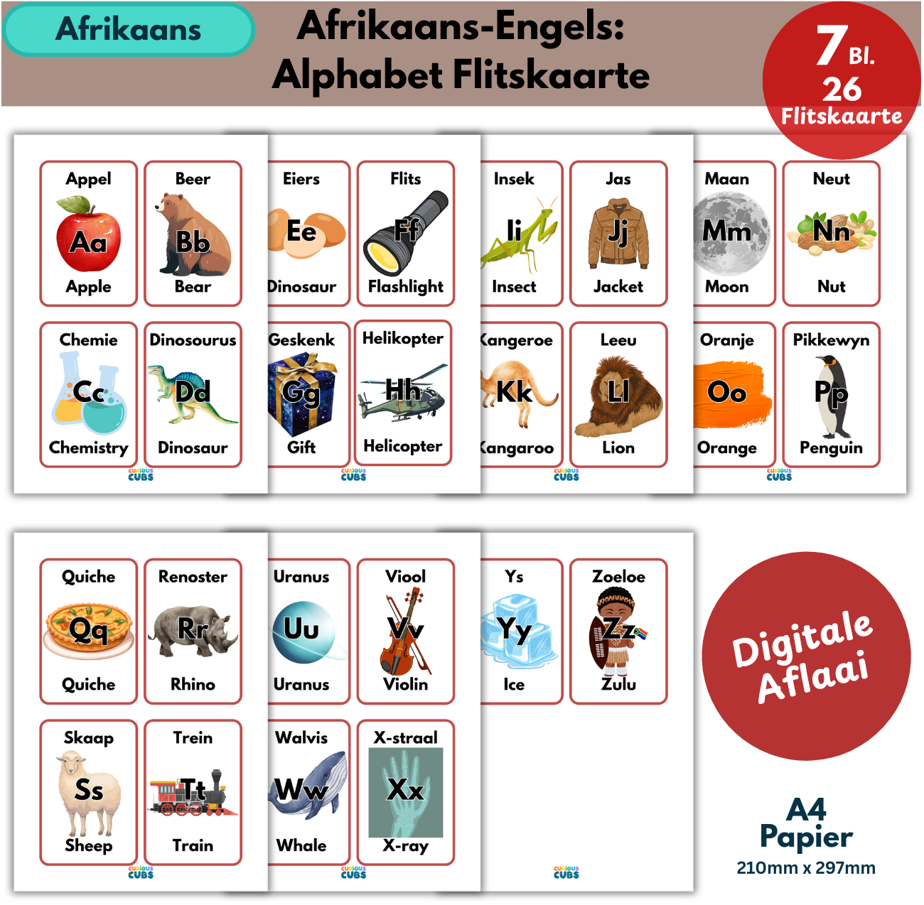 afrikaans–english alphabet flashcards