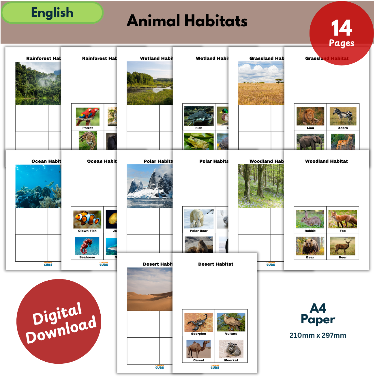 animal habitats sorting activity