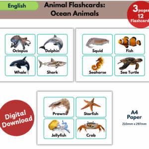 ocean animals flashcards