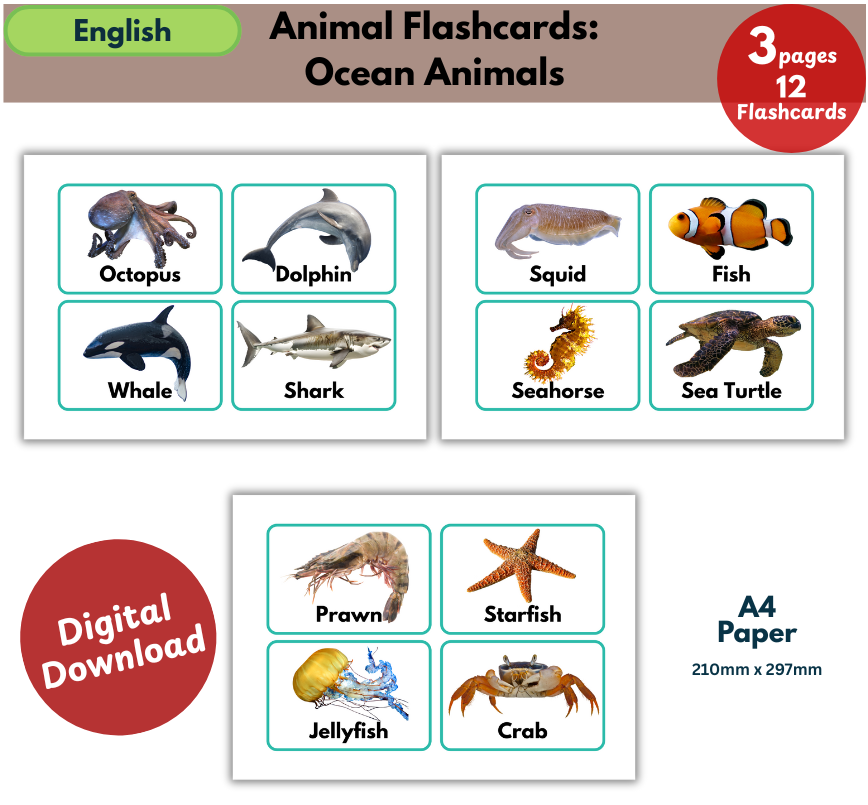 ocean animals flashcards