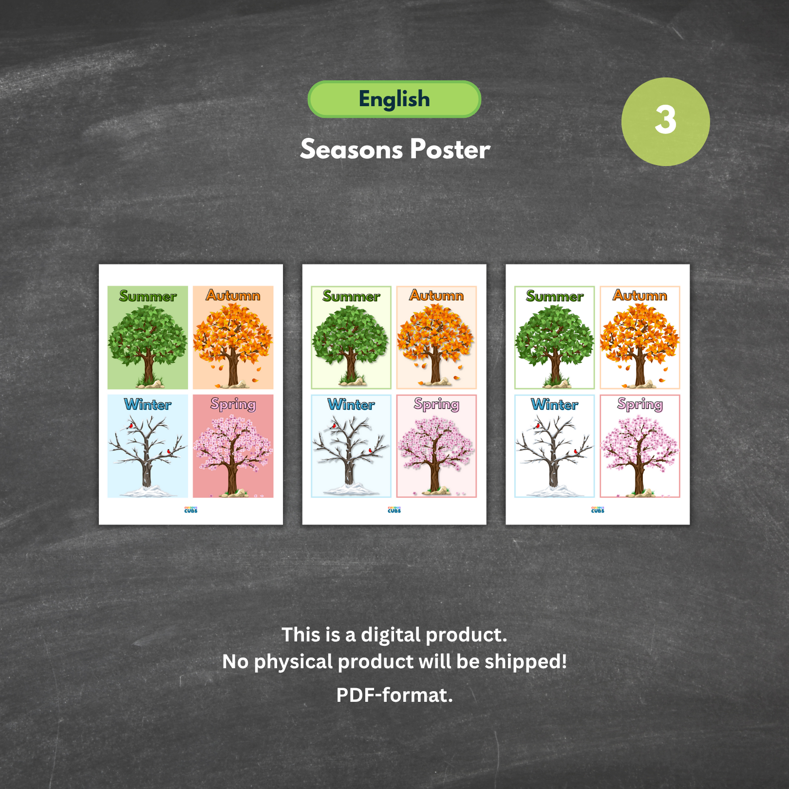 seasons poster northern & southern hemisphere 2