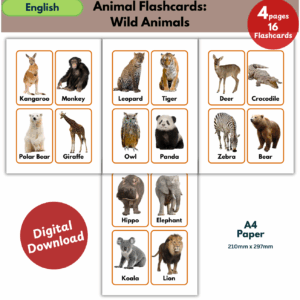 wild animals flashcards