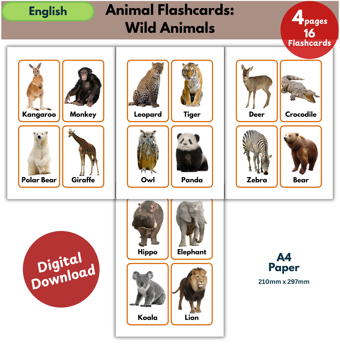 wild animals flashcards