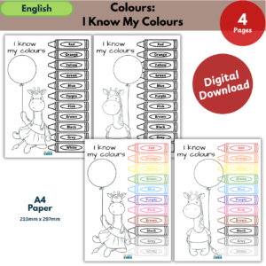 Colour Recognition Activity