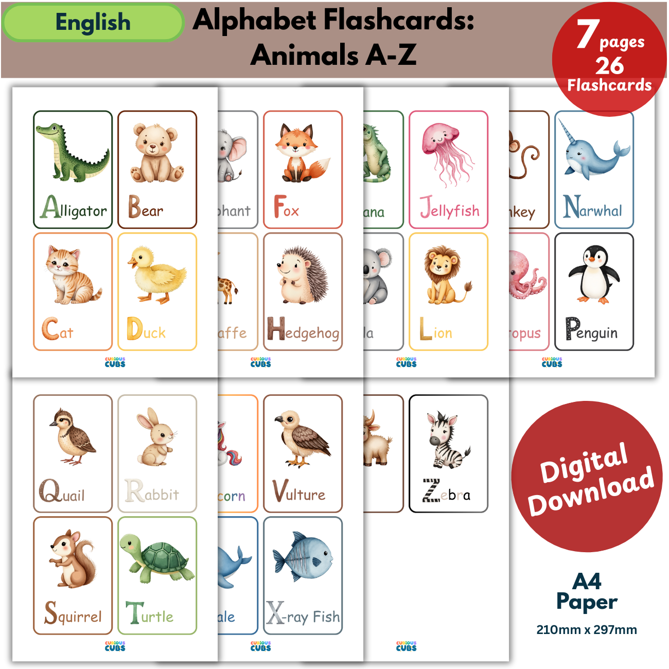Alphabet Flashcards: Animals A–Z 2